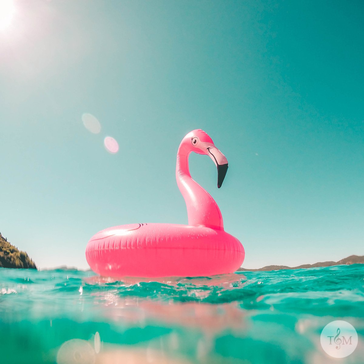 trustandmarket's tweet photo. Les vacances arrivent 🌴 Vous êtes plutôt #TeamSelfie ou #TeamSnaps ? ➡️ https://t.co/iSqhCx2x7t #vacance #holiday #ete #summer #sea #trustandmarket https://t.co/h4MCAlYFIn