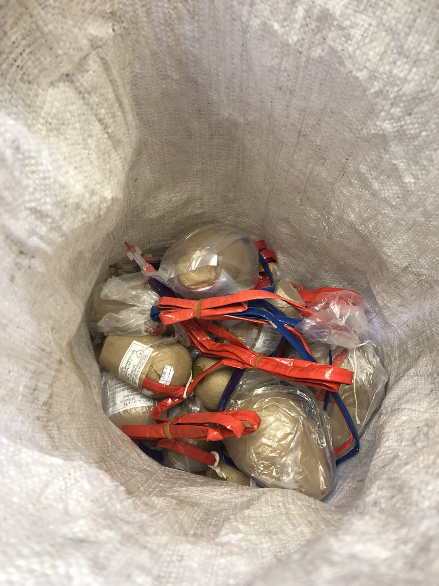 AuroraPyro's tweet image. Getting ready for @Thirskpicnic this evening! Don’t forget your sun hats and water... it’s going to be a warm one!