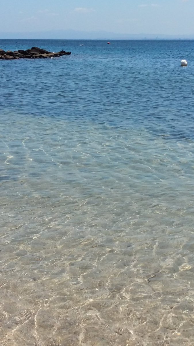 andreasini78's tweet photo. Questa cosa di essere seduto sulla riva, in mezzo all'acqua torbida, e di potere contemporaneamente guardare #Sassari, all'orizzonte, è commovente. Devo assolutamente stapparne una gelida
#Sardegna #iloveSassari https://t.co/SVwwfsynX4