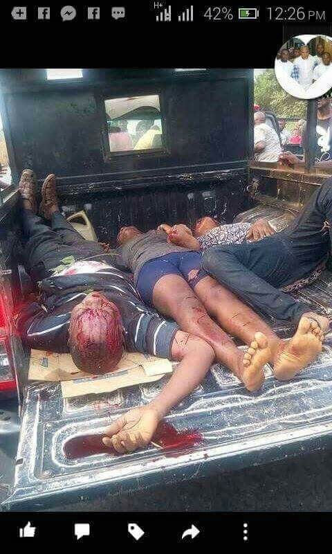 ejikeukwuez1's tweet image. Support #Biafra Referendum now
#Biafra Must be free from Hausa fulani and Yoruba buhari stop killin Biafra