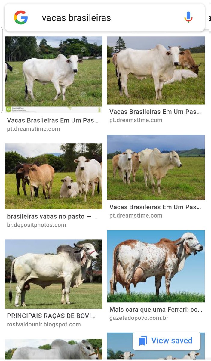 dgrcosta's tweet image. Faltou proteína