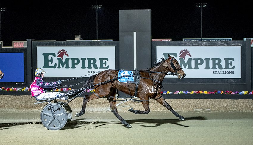 ashbrennanphoto's tweet photo. Group One @EmpireStallions Vicbred Super Series 3YO Fillies Final - SPEAK NO EVIL / @TonkinStewart & Mark Pitt #TheTrots #VSS18 https://t.co/liJCsABeZ0