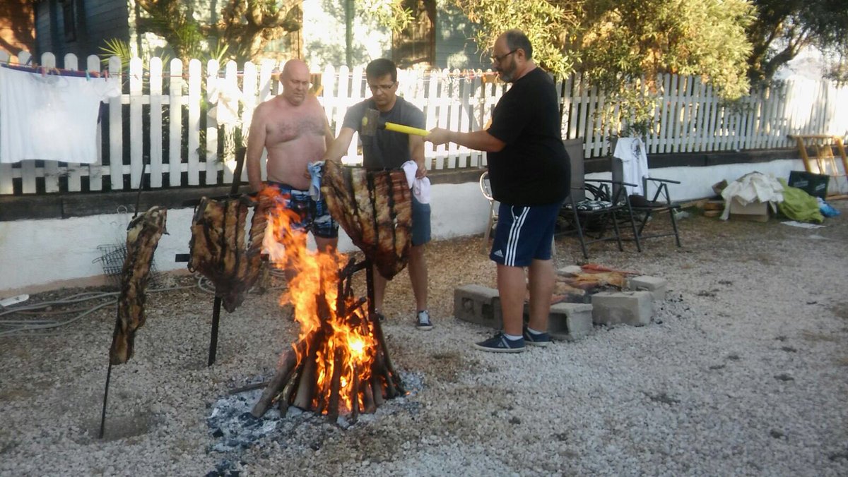 Club Rugby La Safor tweet media