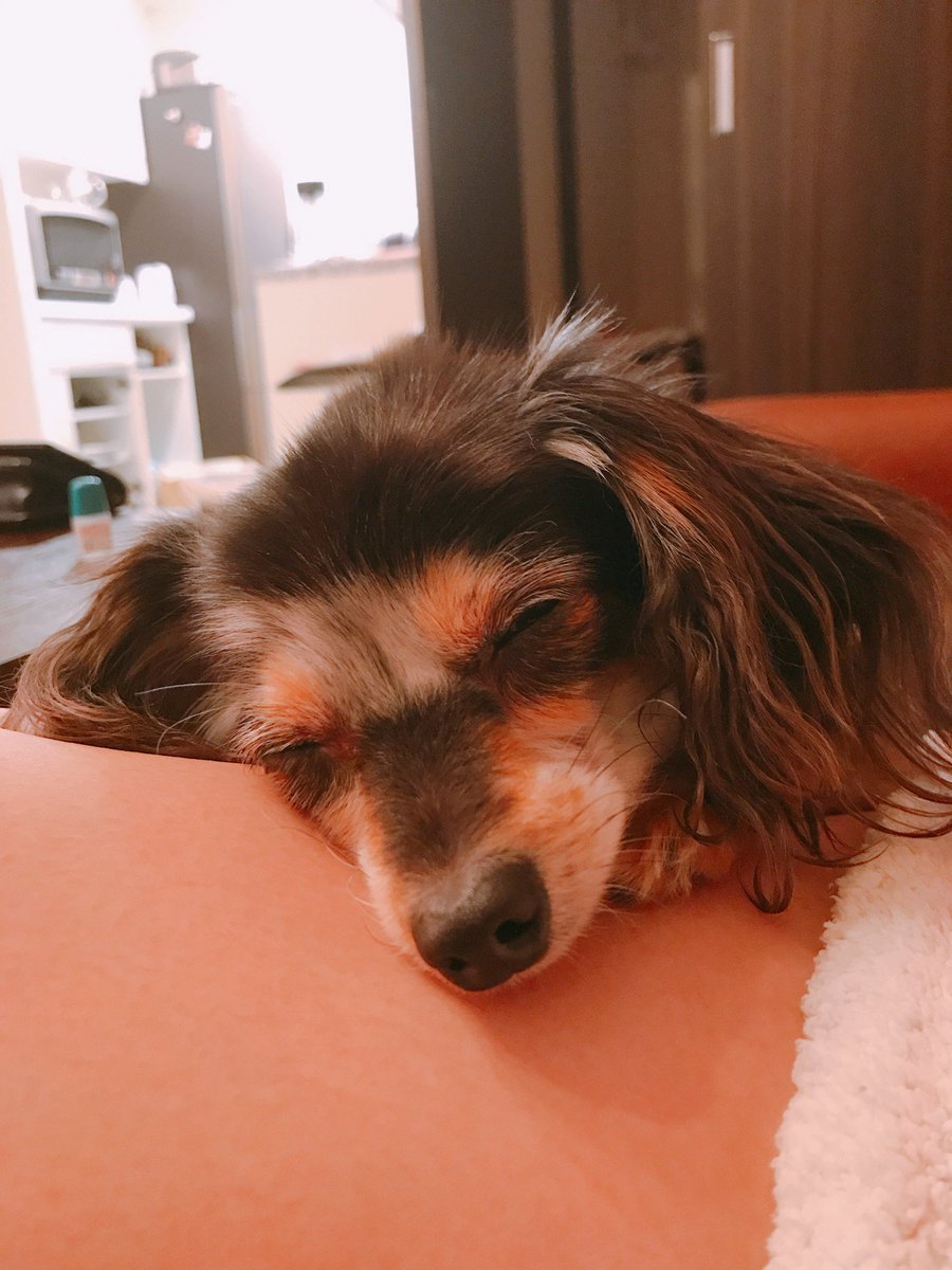 Kiyo (@kiyoyoyoyoyon) / Posts / X