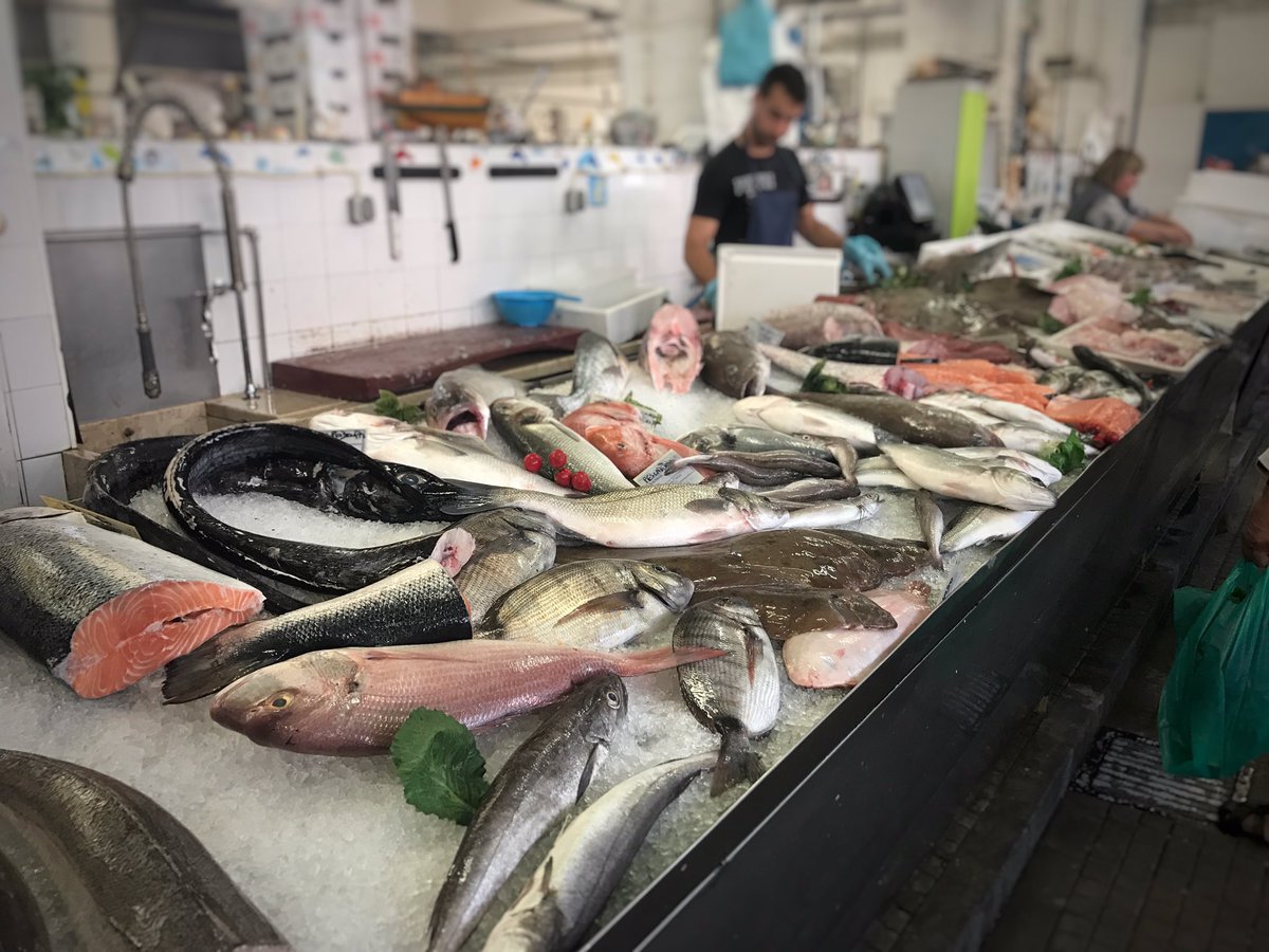 Monica Bettencourt-Dias tweet media