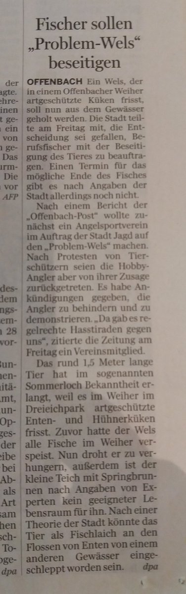 Amchanagi's tweet photo. #Offenbach
#ProblemWels
Manchmal ist #Deutschland #Satire Pur
#Wels
#Weiher https://t.co/w8qu7NXhTU