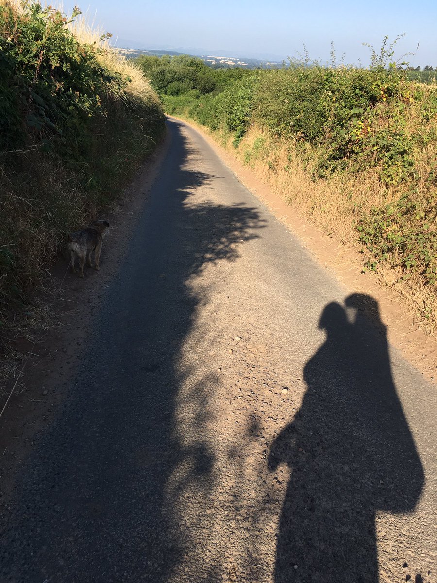 Aimless85's tweet photo. Early morning dog walks 🐶 #hotalready @LittleLifeUK https://t.co/Axr4JAhEok