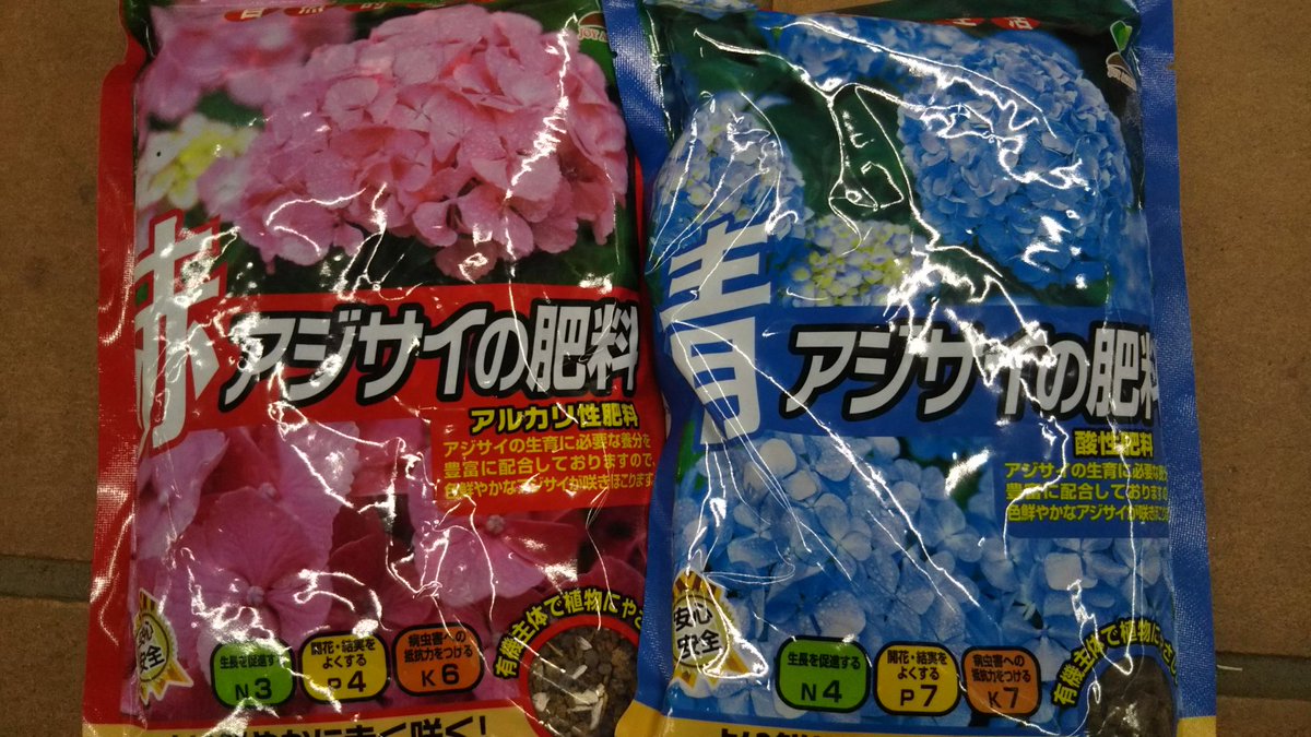 ジョイフル本田 ガーデンセンター ひたちなか店ガーデン館 茨城 紫陽花がきれいに咲いてますね アジサイを元気に育てる栄養 あじさいの肥料 赤には 赤アジサイ用 青には 青アジサイ用 花の色をより鮮やかに 長く楽しめますよ