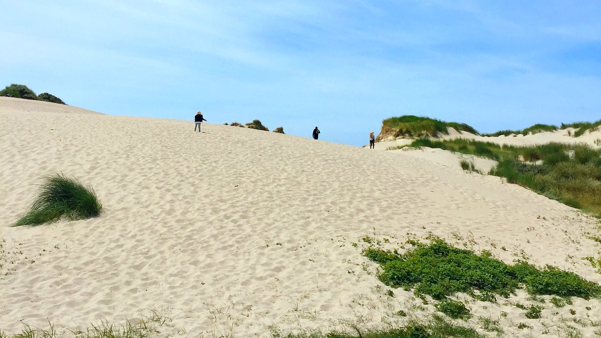 Alex_Verbeek's tweet image. 🇳🇱

This is the point on the west of the island where you have to leave your bicycle. 

From there you cross this small copy of the Sahara desert. 

At the top, you are rewarded with a beautiful view of the wide beaches and the sea.

🌊

How is your #SaturdayMorning?

#MyIsland