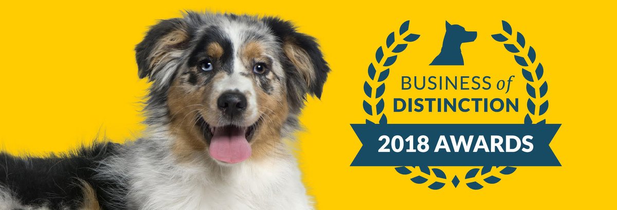 If you are a dog business then find out how you could win one of our Business of Distinction Awards - edogadvisor.co.uk/Business-of-Di… #dog #dogs #awards