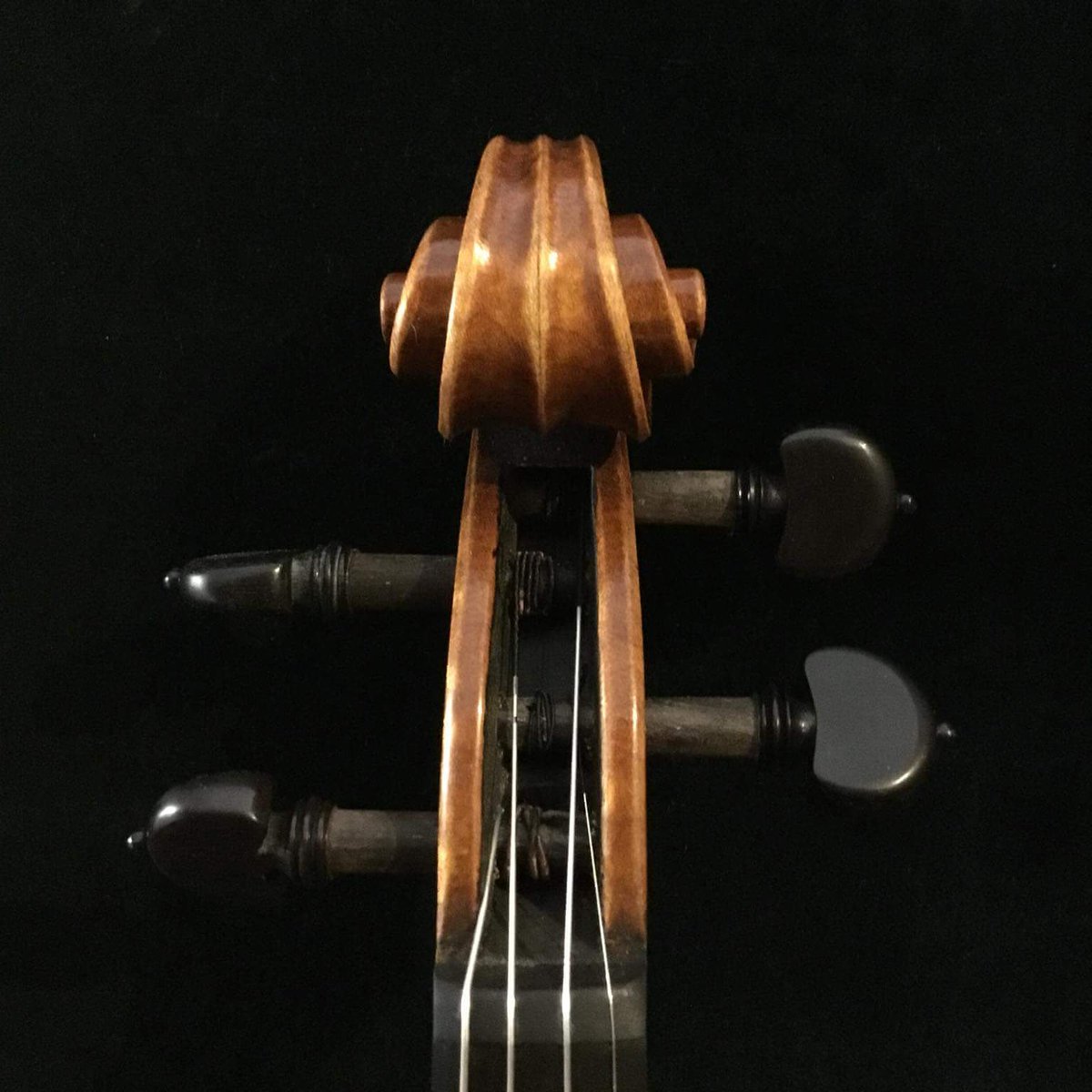 Gianluca Poli Violin Mod A.Stradivari