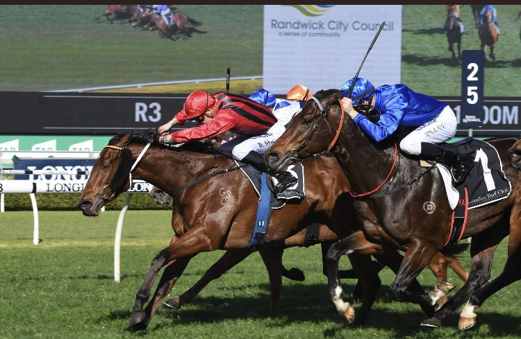 Blake Shinn tweet media