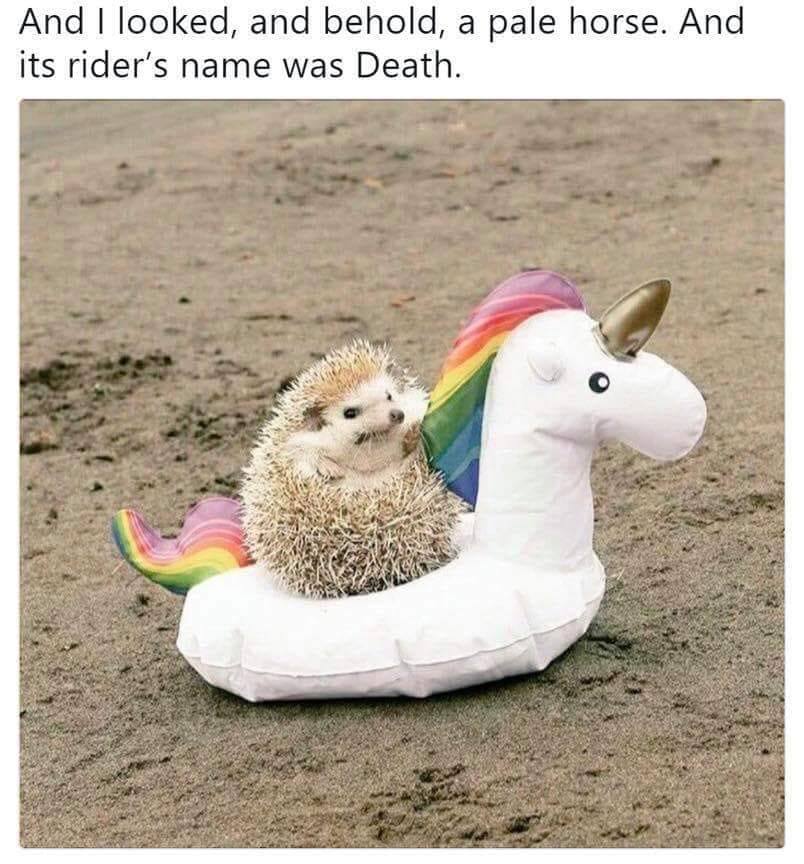 fionagilsenan's tweet photo. #captionwin https://t.co/MwqwsclQbJ
