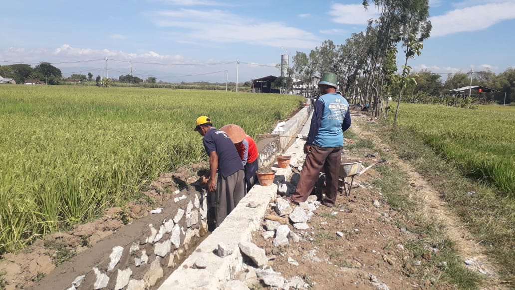 EkoTri4990's tweet photo. Berangkat dari program inovasi desa, masyarakat desa mulai bersemangat berdesa dan peduli dan mulaipeka terhadap potensi-potensi di desanya masing-masing.

#PIDmandirikanDesa
#TPPIJawaTimur
@jokowi
@ekosandjojo
@anwsanusi
@taufikmadjid71
@fachrilabalado
@DewantoAndry https://t.co/9gi3QrJaLt