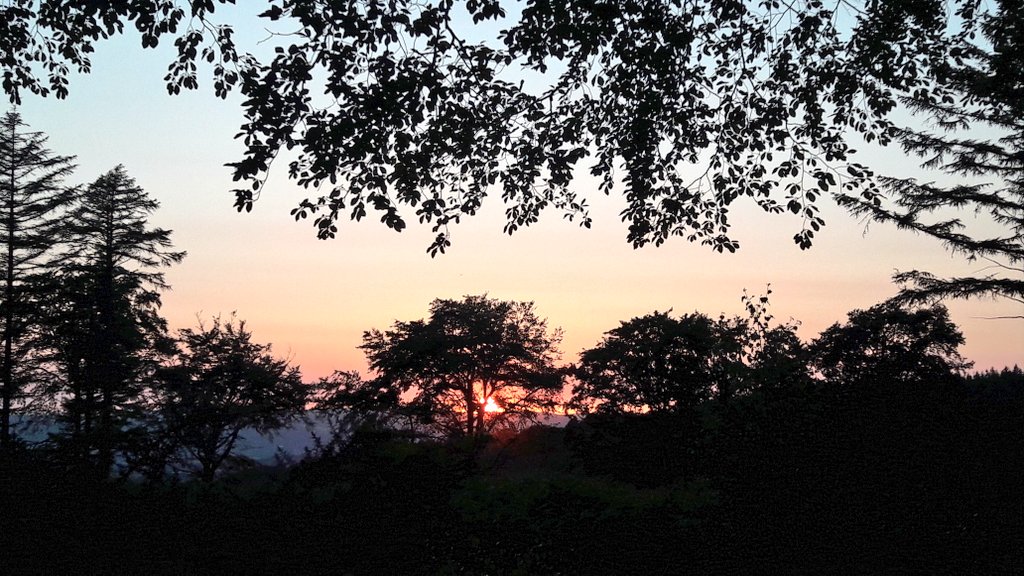 LLethers's tweet photo. What a fantastic evening for watching #Nightjars and finding #GlowWorms with the @Teignbridge Countryside Rangers! https://t.co/WW52jkLVjc