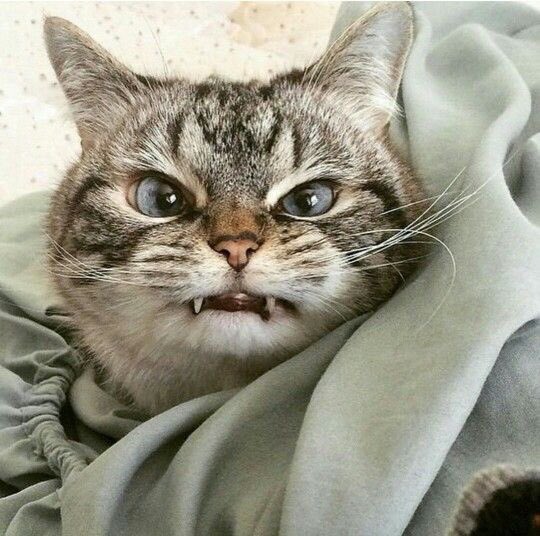 4amvanila's tweet photo. ตอนเธอไปน่ารักกับคนอื่น 
ตอนหวงเธอมากๆ แต่ทำอะไรไม่ได้ https://t.co/zoDDBLvk1f