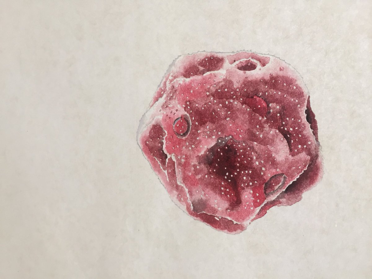 Invisible Dust tweet media