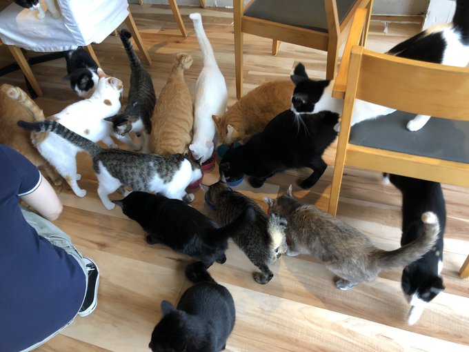 Twitterのコスプレ画像52