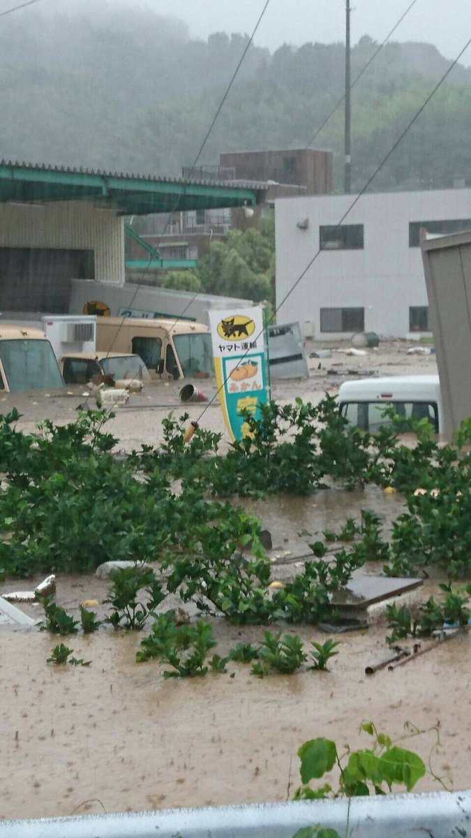特別警報もでてない愛媛がニュースにならないのは当然かもしれないけれど出てなくても甚大な被害が出ています。
特に南予地区の野村(1.2枚目)大洲(3)吉田(4)は被害が大きいです。南予には来にくいかもしれないけど多くの人に知って欲しい！
 #野村町 #大洲市 #吉田町 #南予 #救助 
 #氾濫 #大雨 #愛媛