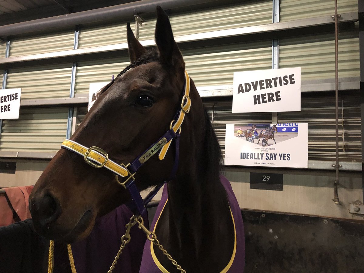 SarahGatt94's tweet photo. Team Jojo is ready to cheer on our little girl! No matter what happens we are proud of you! 💛💜💛💜  @Gaby98134347 @Katehargreaves7 @albieashwood #teamjojo #k&amp;aracinb https://t.co/O3xEXu2xMf