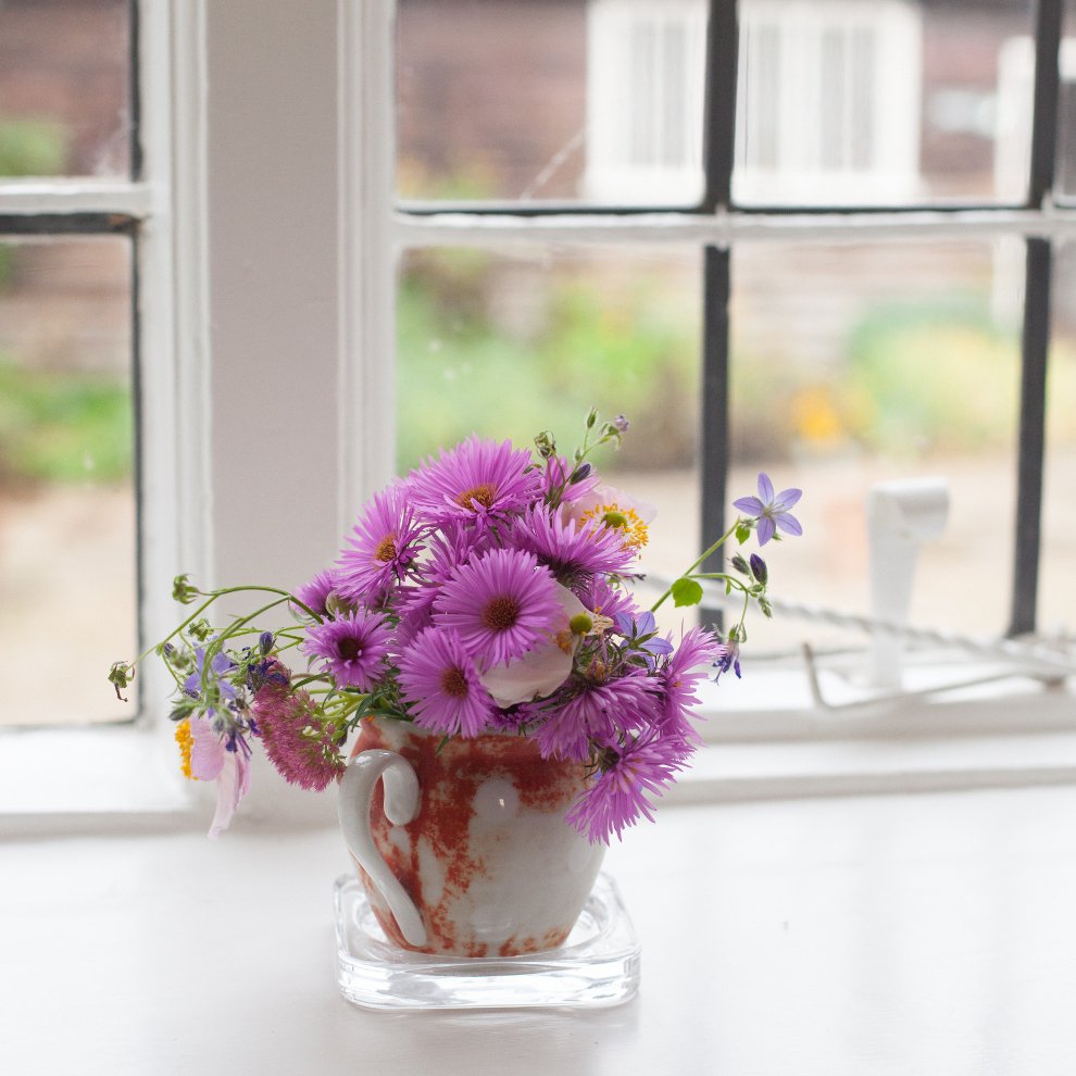 On 7 July 1809, #JaneAusten moved to this house, where she was to live for the rest of her life. It was here that Jane’s genius flourished and where she wrote, revised and had published all her major works. It is a privilege to care for this most precious place. #OnThisDay