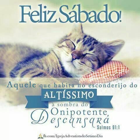 Kaia_Cindy's tweet photo. @mvdafm @maricarmengar15 @Emma1492is @07Noemi buenos días Manuel un excelente sábado a descansar 💦💦 https://t.co/wxHzHtsquL