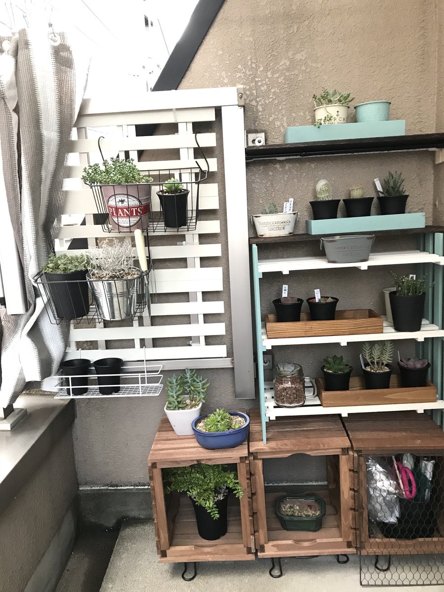 Maon 3ヶ月スピード婚 アラフォー新婚夫婦 Twitterren 続々diy 雨対策で屋根付けられる多肉棚増設 単体で見ると可愛いけど設置したら茶色が少なくなってイマイチ そして トレー型余る うーん 多肉棚 Diy Maon 3ヶ月スピード婚 アラフォー新婚夫婦 Twitterren 続々diy 雨対策で屋根付けられる多肉棚増設 単体で見ると可愛いけど設置したら茶色が少なくなってイマイチ そして トレー型余る うーん 多肉棚 Diy