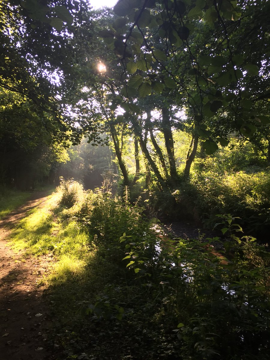 NorthwayRuth's tweet image. 12 months ago if you’d said I would be getting up early on a Saturday to run 10 miles before 8am I would have laughed - but did it today. Lovely morning with nice views #whatadifferenceayearmakes