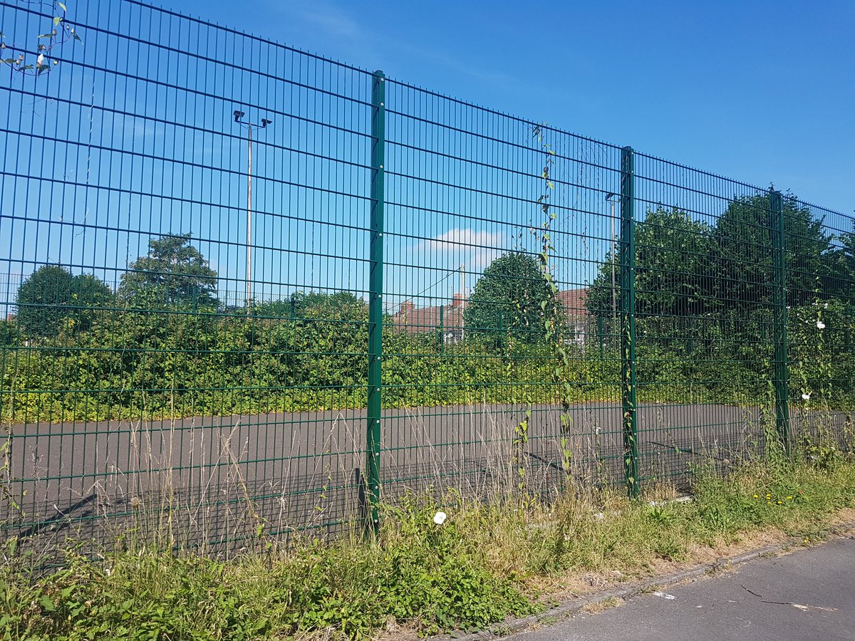 kitkatw's tweet photo. @wiltscouncil innox rd court. Totally overgrown with brambles&amp;nettles https://t.co/TkjrtJDwMQ