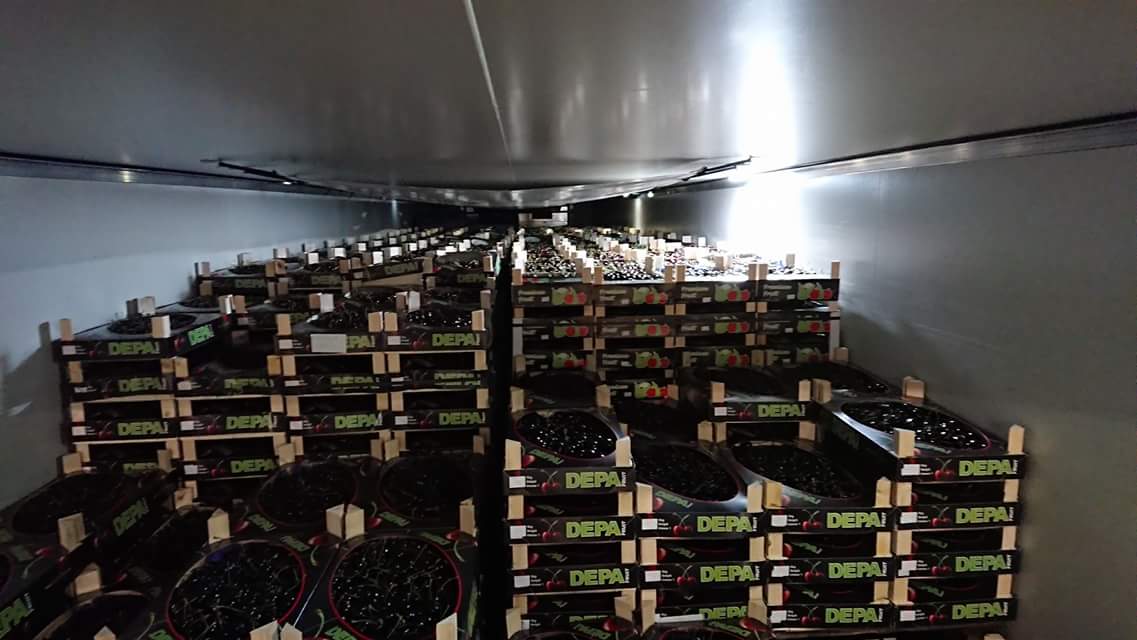 postuma_agf's tweet photo. Wordt BelgiΓ« wereldkampioen? Ze zijn in ieder geval wereldkampioen Kersen! Top kwaliteit, super lekker, handmatig gesorteerd, een superleuke prijs, dus alle ingrediΓ«nten aanwezig om te scoren! #weekactie #wk #kersen https://t.co/ig5bSFihXQ