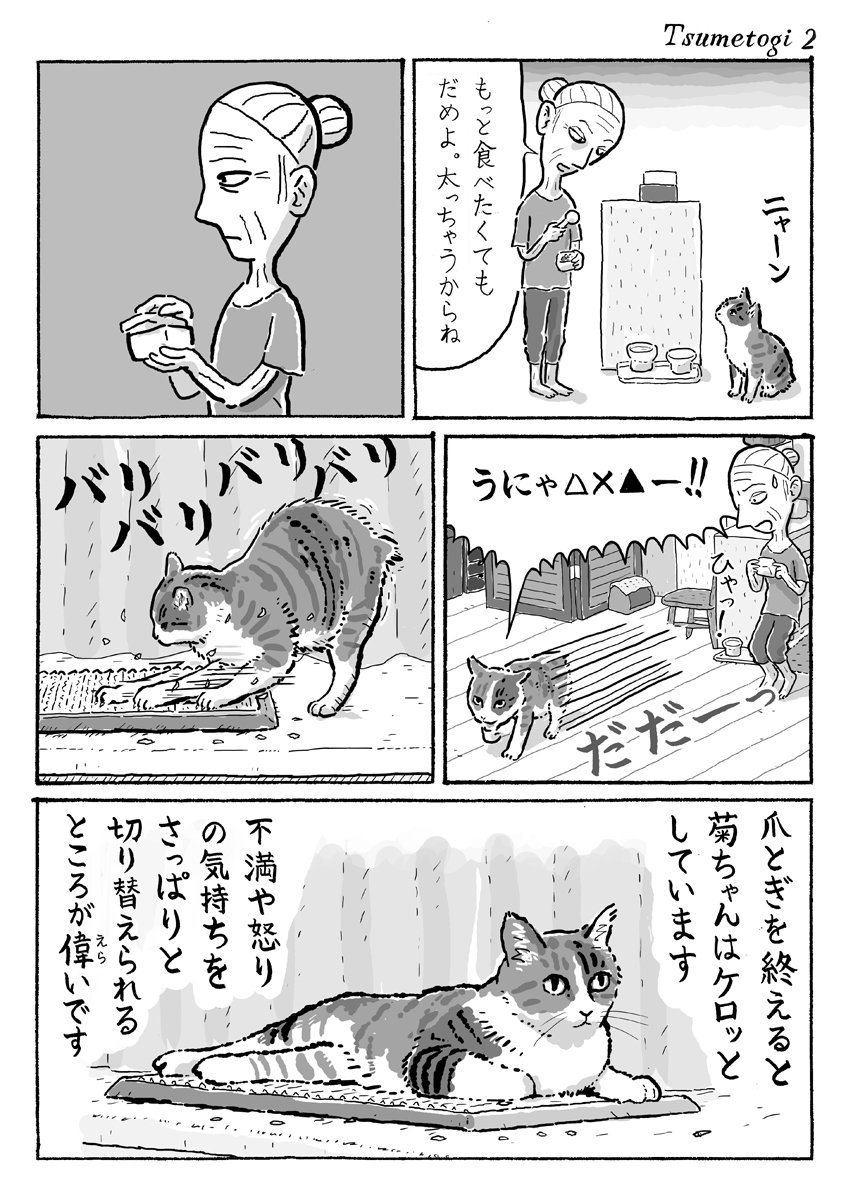 湊文 猫の菊ちゃん 2ページ猫漫画 爪とぎする