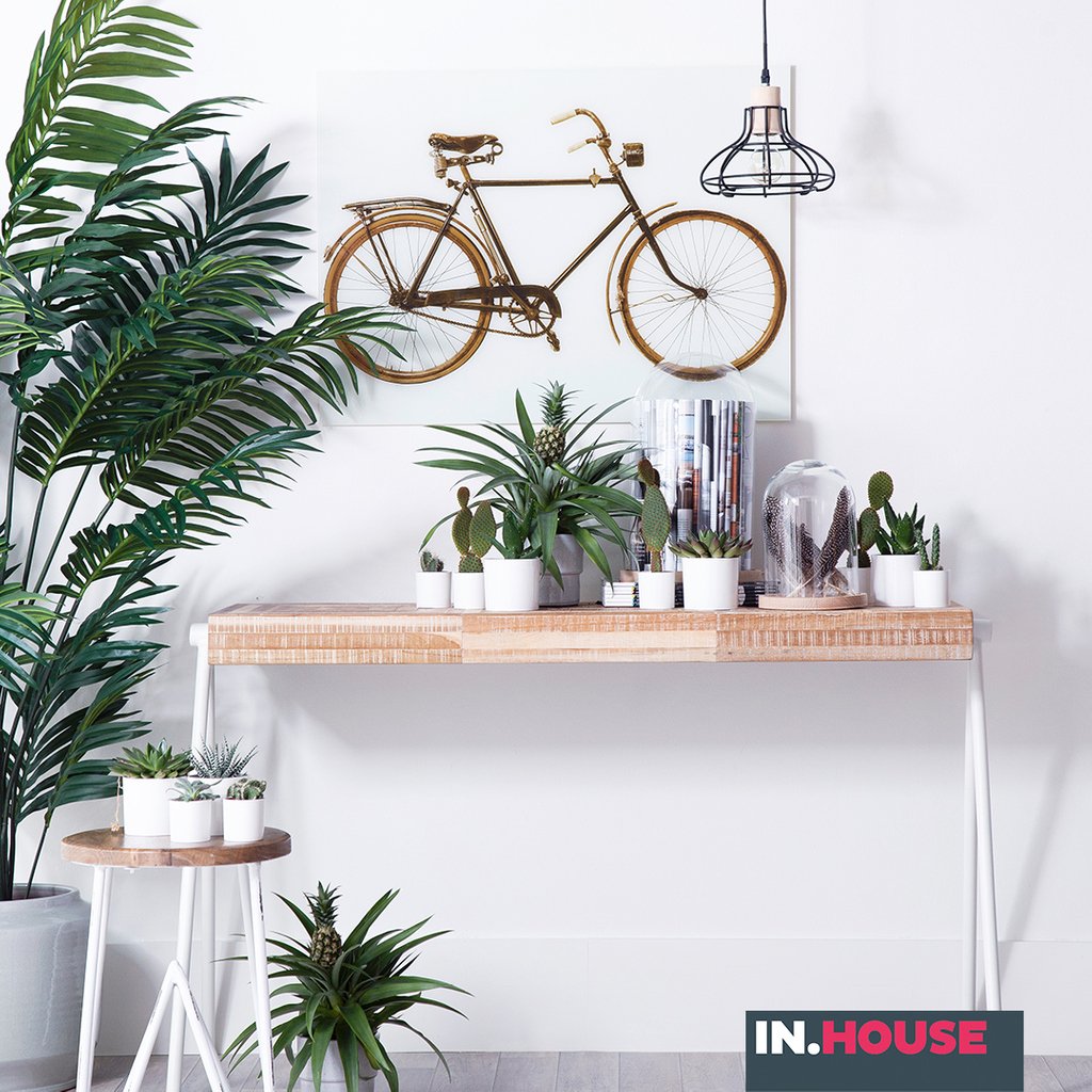 Vandaag start de Tour de France! Daarom een mooi plaatje van de fiets als wanddeco.