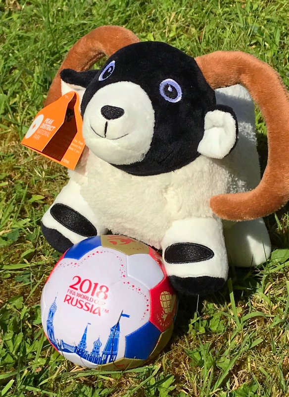 PeakMillie's tweet photo. Come on England! ⚽🏴󠁧󠁢󠁥󠁮󠁧󠁿🐏 https://t.co/L0pqO9h9Og