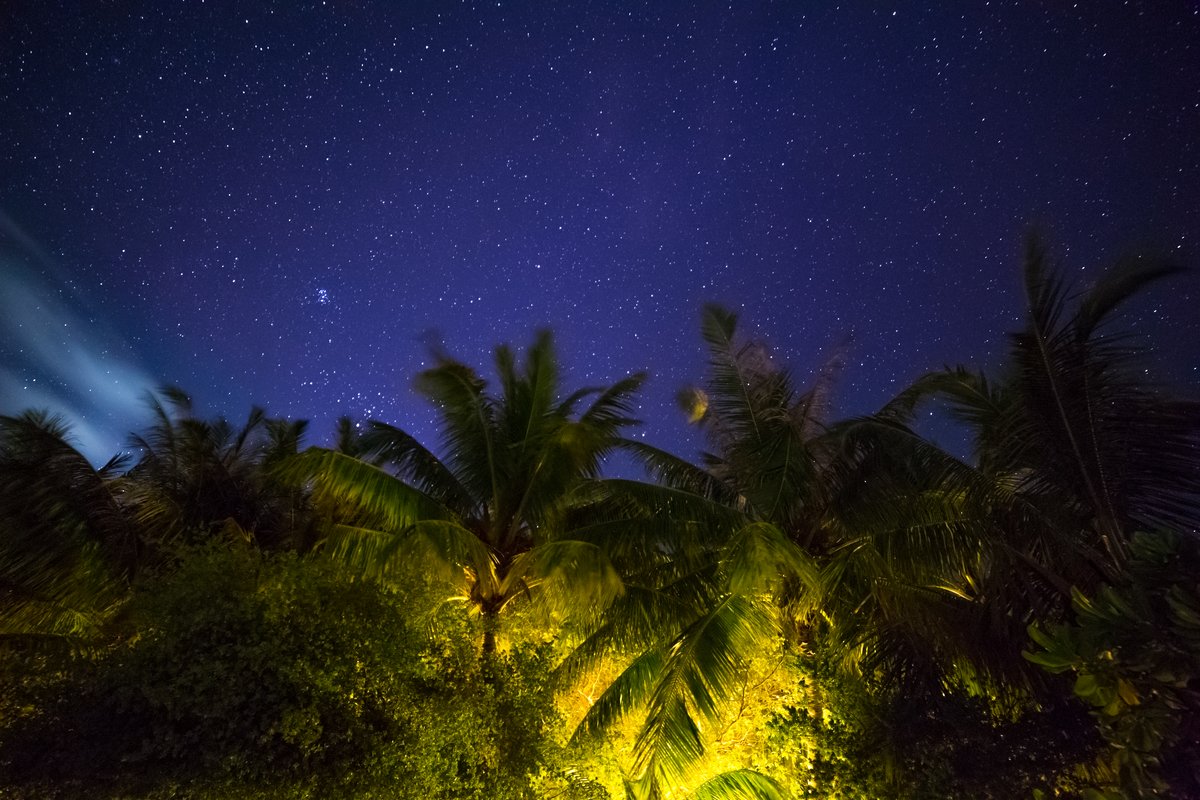 MALDIVITY's tweet image. What better place to marvel at the twinkling night sky than in the Maldives! We invite you to join our expert Astronomer, for two evenings of stargazing fun and wonder on the 16th and 17th of July! luxresorts.com #expertworkshop #luxsouthariato…
