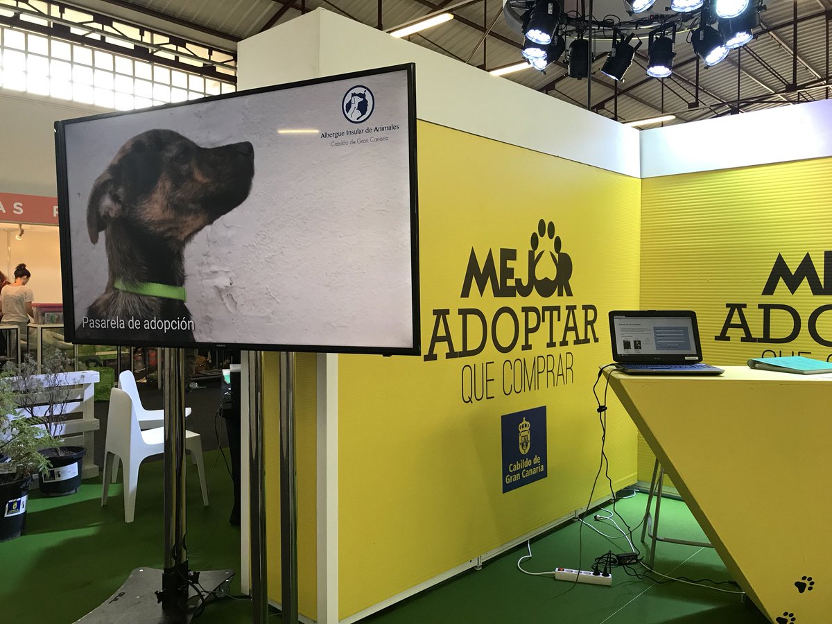 Abandono_Cero's tweet image. ¿Qué vas a hacer hoy? ¿Nos acompañas en @infecar?

Ven a la Feria del #Animal de Compañía, #ANIMUNDO, por la salud,cuidados,bienestar y la tenencia responsable y respetuosa de animales de compañía

¡Puedes adoptar un peludo 🐶 y darle un nuevo 🏠 !❤️

👉🏼 De 10.30h a 20.00h