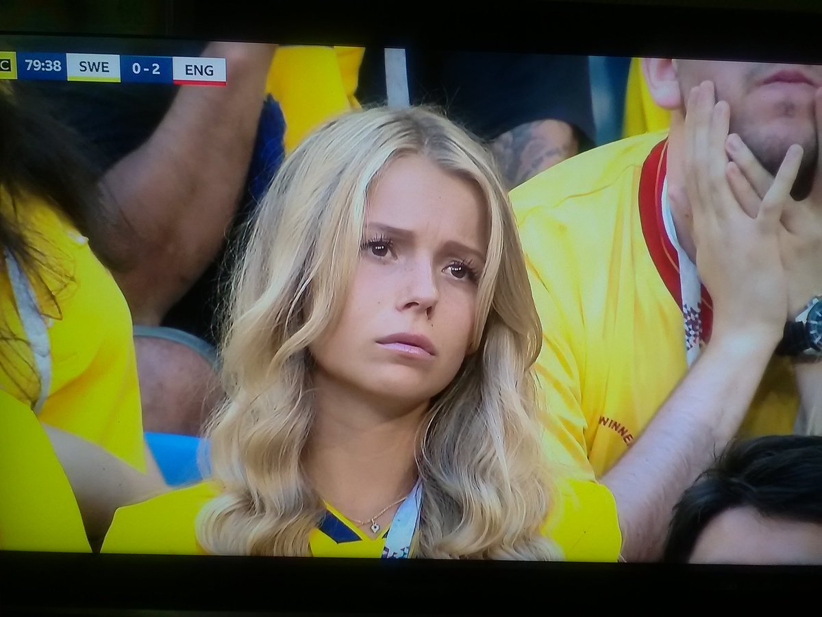 WorldCupBirds's tweet photo. Sad Swede #ENGSWE #EnglandvSweden #SWEvENG #ENGvSWE #ItsComingHome https://t.co/feLvvVaWVL