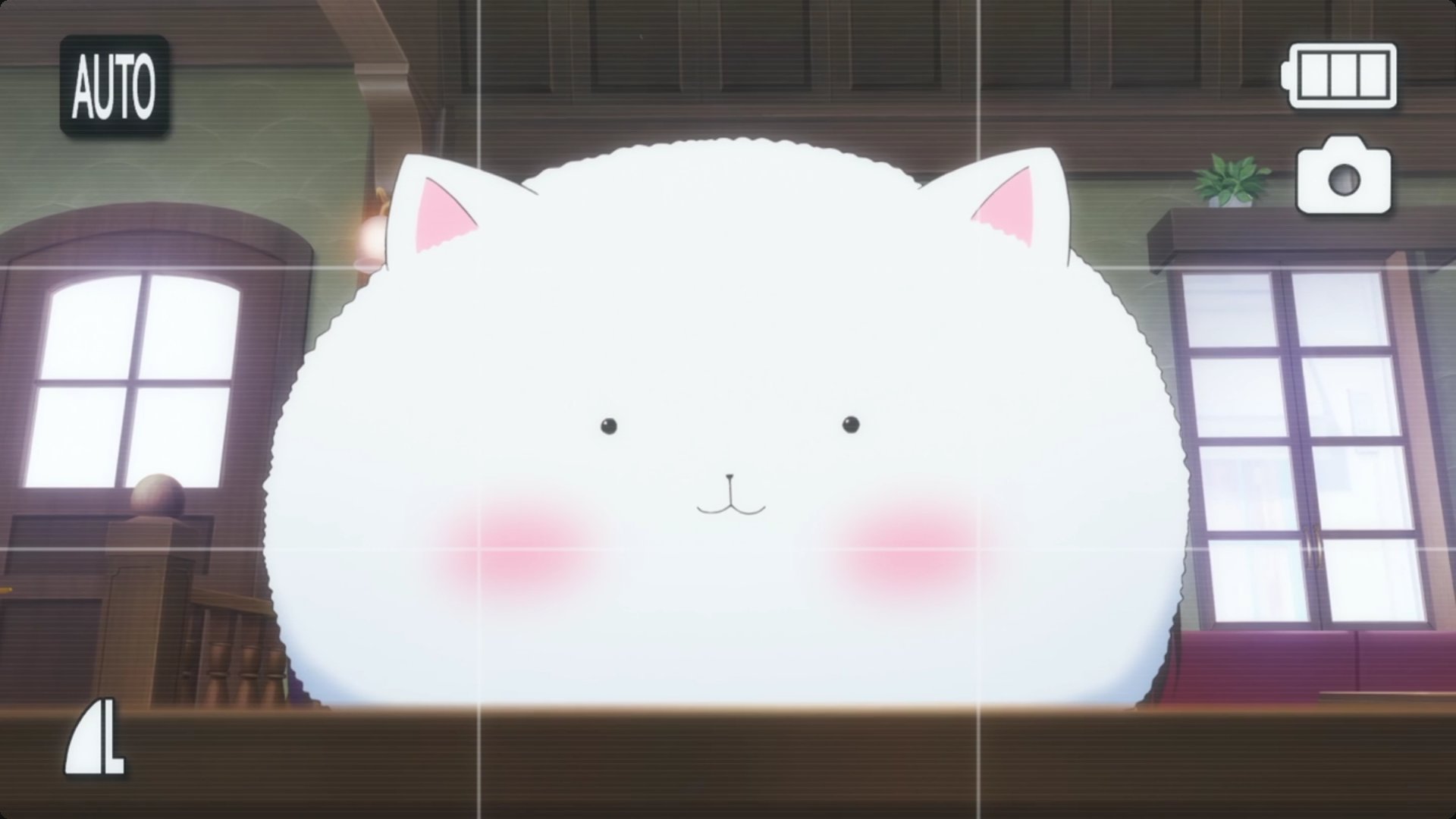 ともさん 現実じゃ ほとんど あり得ないのに アニメだと良くあること 動物が喋る ハーレム展開 ラッキースケベ 禁断の愛 共感したらrt T Co Yvklmho3xm Twitter ともさん 現実じゃ ほとんど あり得ないのに アニメだと良くあること 動物が喋る ハーレム展開 ラッキースケベ 禁断の愛 共感したらrt T Co Yvklmho3xm Twitter