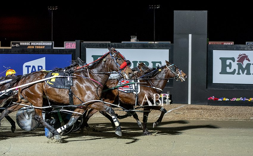 ashbrennanphoto's tweet photo. Huntsville @ Empire Claiming Pace - CLASSY GUY / Allan McDonough & @grsugars #TheTrots #VSS18 https://t.co/Zobi8hycdB