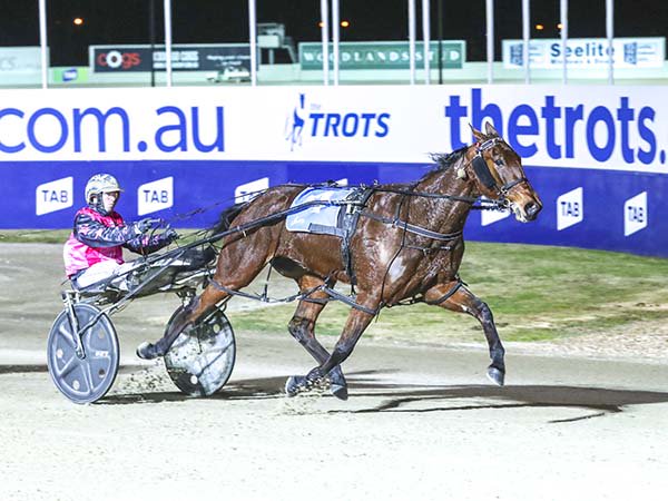 TheTrotsComAu's tweet photo. Speak No Evil! #VSS18 #TheTrots https://t.co/FB1guUYgwe