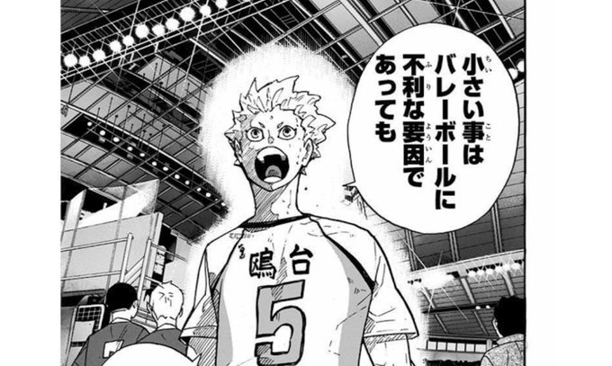 ハイキュー 星海光来は小さな巨人に近い男 能力の高さや卒業後について 3ページ目 Selvy
