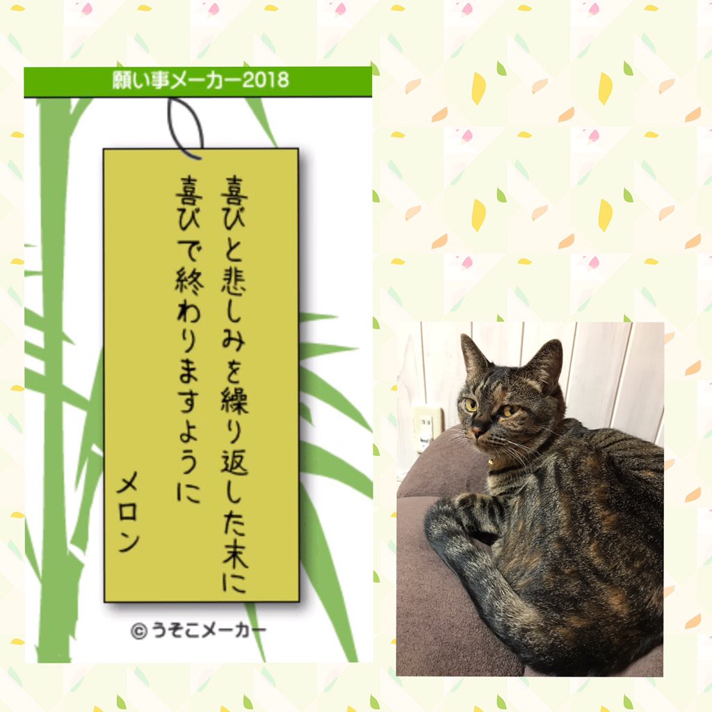 七夕メーカー 七夕メーカー