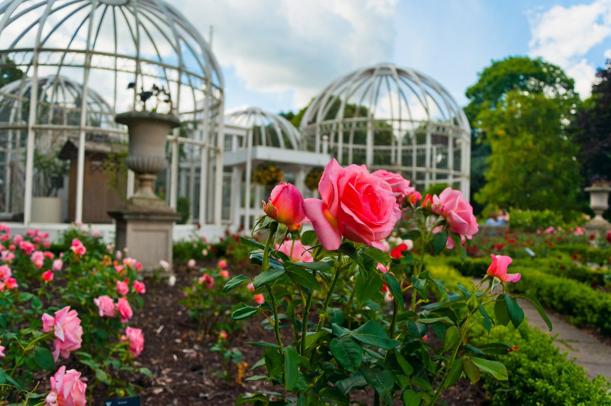 Birmingham Botanical Gardens Uk On Twitter We Have All The
