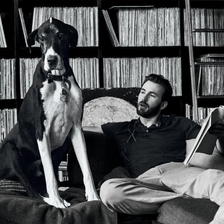 NotTheRealEvans's tweet image. #NewProfilePicture