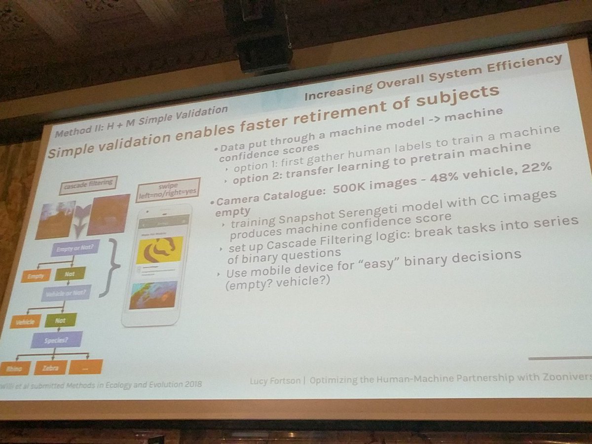 mizzao's tweet image. Cascade classification to take advantage of the relative strengths of human crowd and CNN classifications @LucyFortson #HCOMP2018 #CI2018