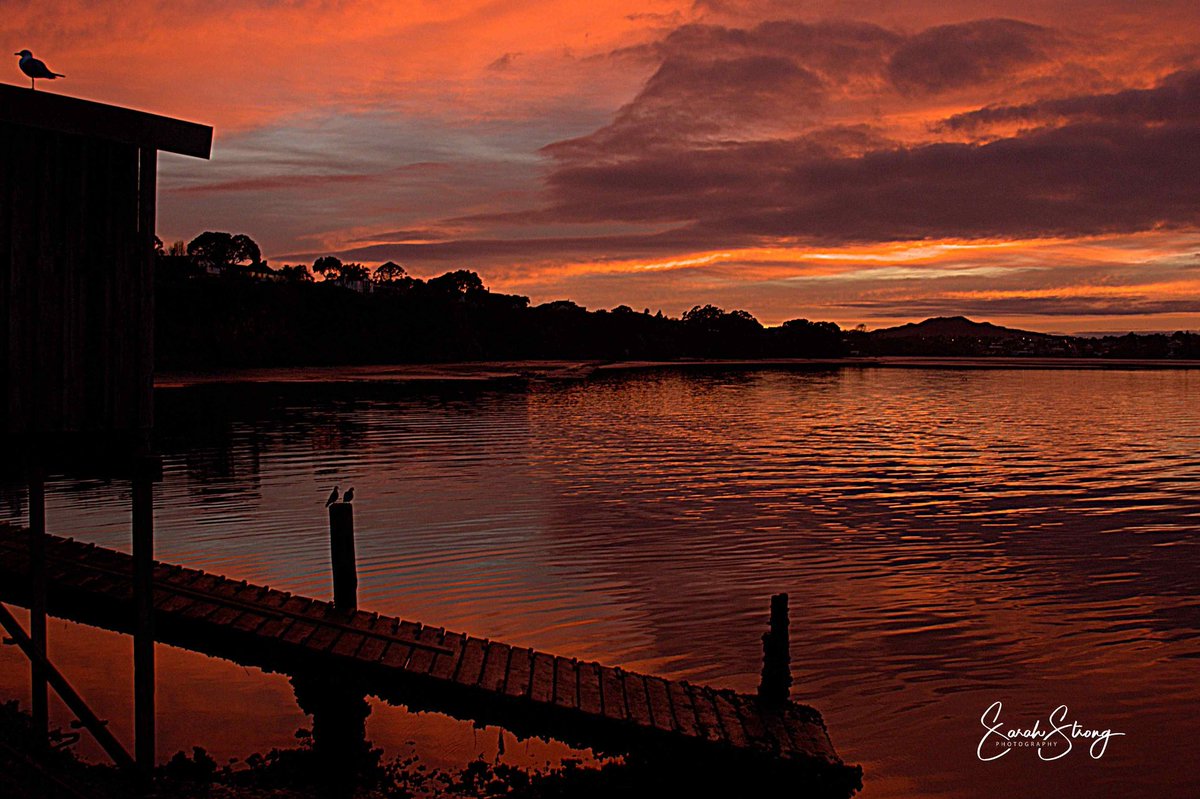 sarah_strongNZ's tweet photo. #sunrise #photography #Auckland #Northshore #NewZealand #NZ #NZ2018 https://t.co/26WLz4Qvps