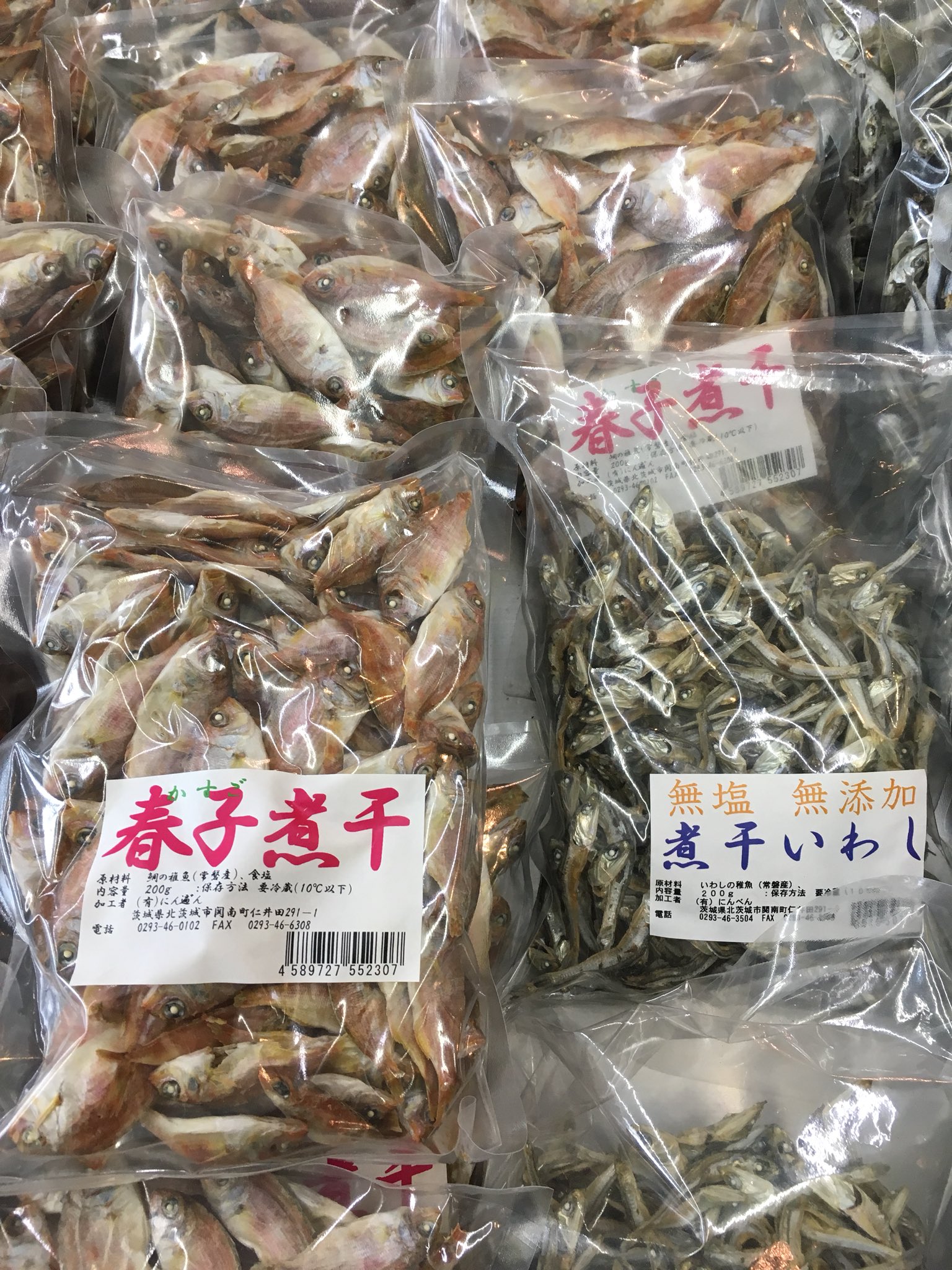 北茨城市観光協会 北茨城市 で水揚げされた魚 春子 かすご 鯛 の子 と サッペ の 煮干し はこの時期に出る貴重な品です サッペは コノシロ の従兄弟か兄弟分だと港の方の情報でしたが 魚図鑑にも近縁と見事に記載されておりました 大津港