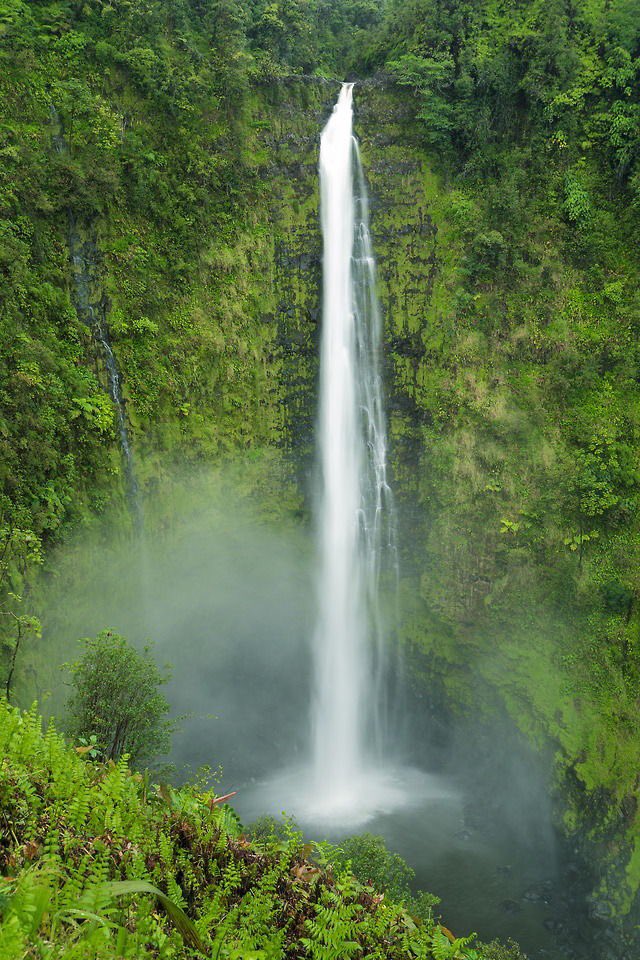 Akaka Falls
Hawaii