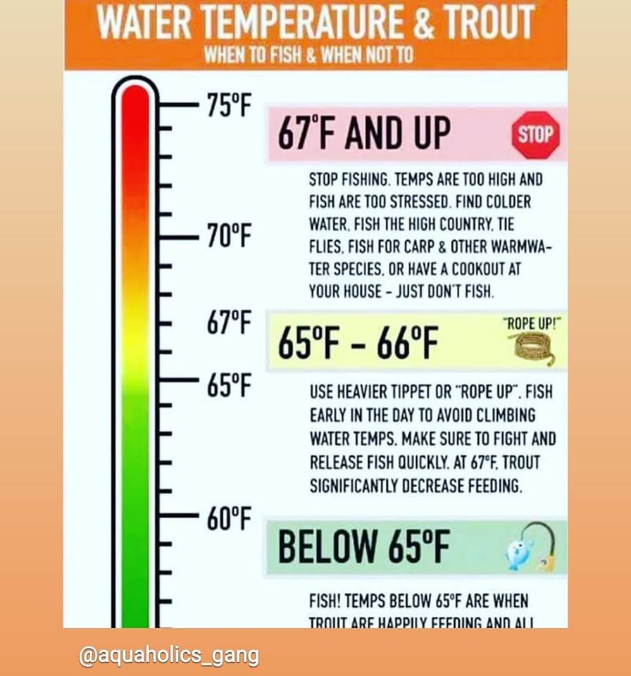vailflyfishing's tweet image. Please be aware of the water temperatures. We are recommending that people be off the water by about 1pm as the eagle river hit 68 degrees yesterday.