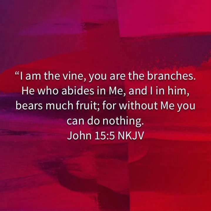 Sam (@sam64197261) on Twitter photo 