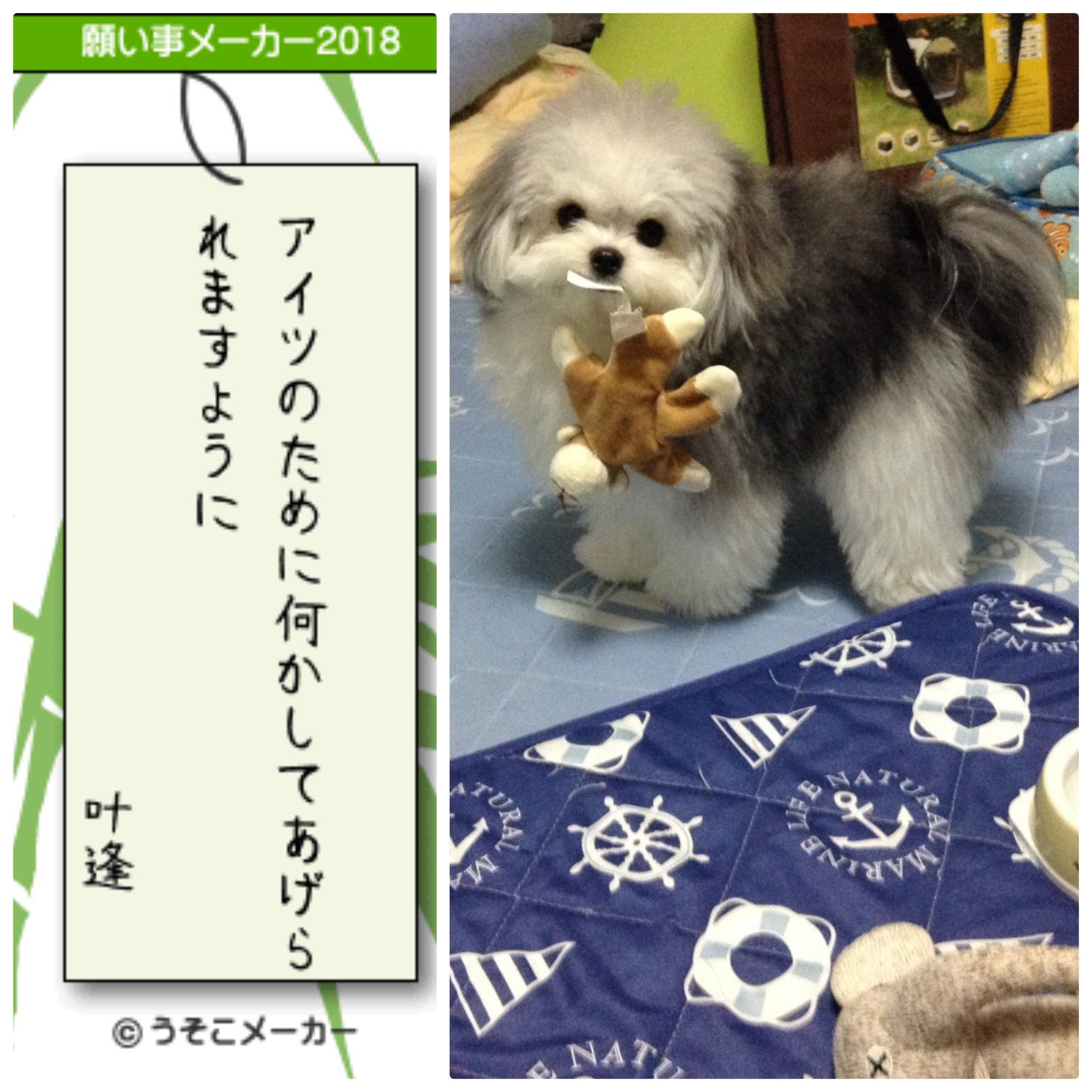 願い事メーカー18 Twitter Search Twitter